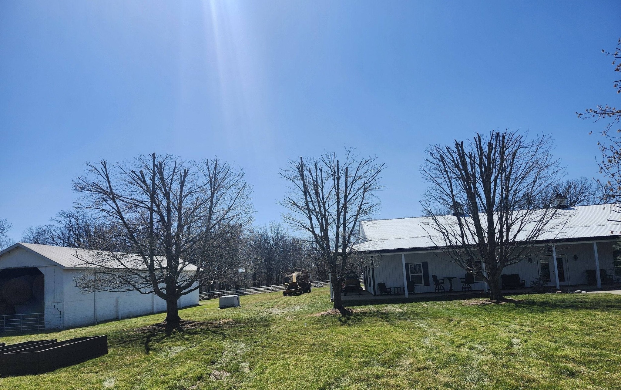 After photo of a cleared yard