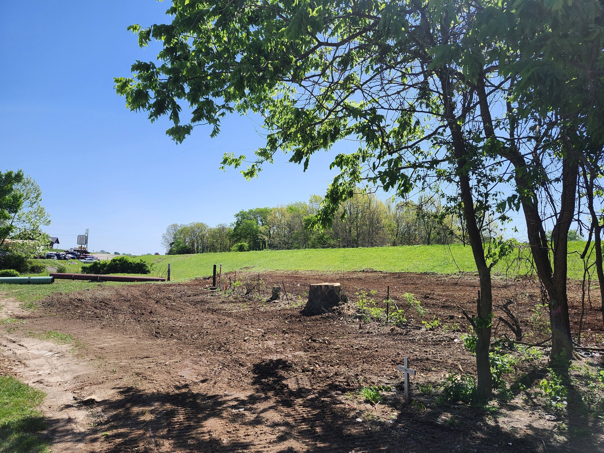 Cleared lot after stump removal